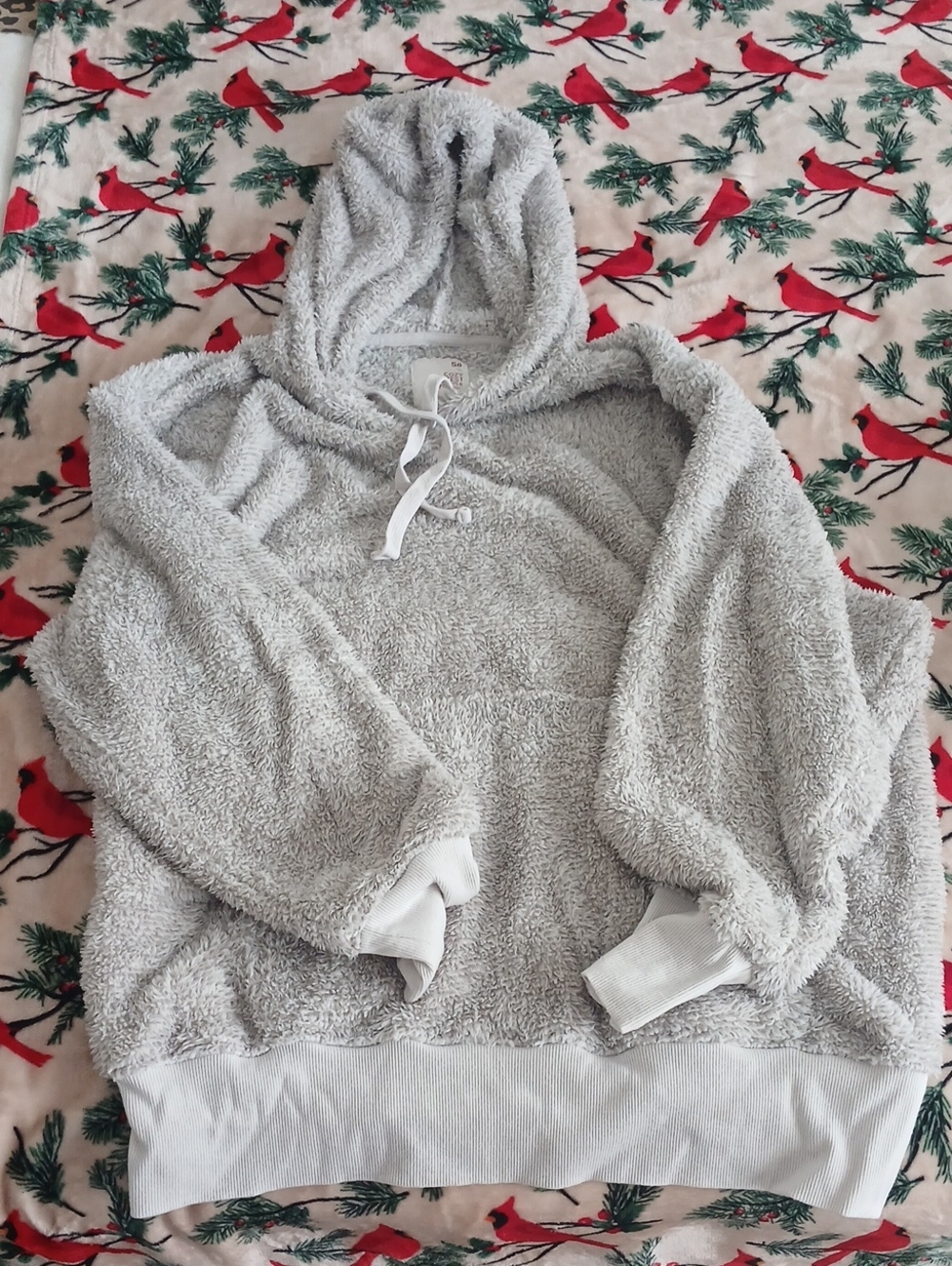 SO Plush Hooded Pullover Sweatshirt - Light Gray